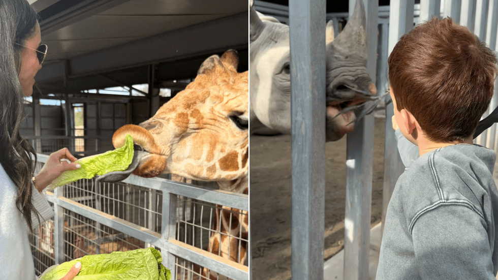 Meghan Markle, Prince Archie