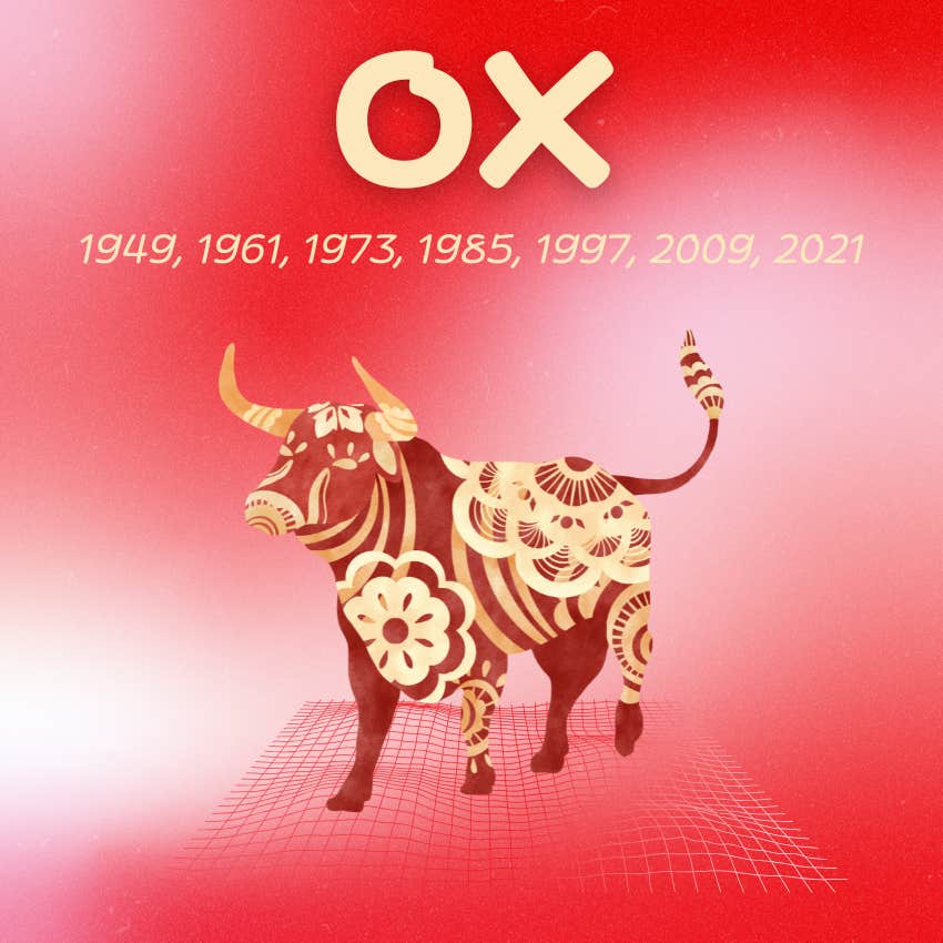 ox chinese zodiac signs luck good fortune February 2 2026