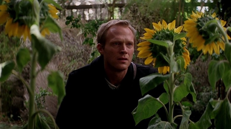Max Waters looking at sunflowers in Transcendence