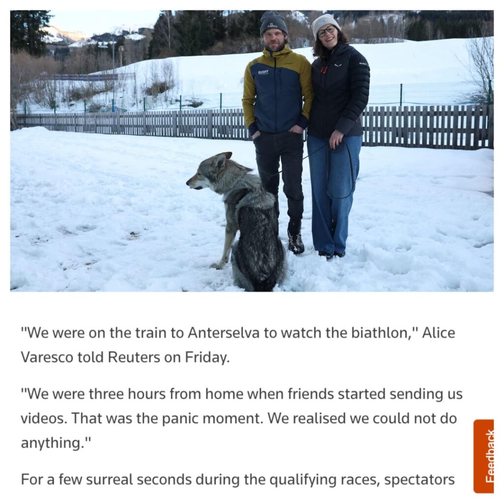 Meet Nazgul the wolfdog: Owners recount panic when they started getting texts from friends about their dog gatecrashing the Winter Olympics while on a train three hours away