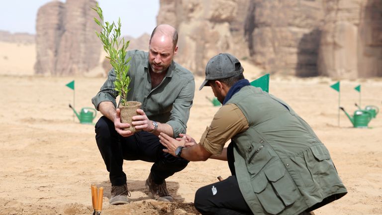 William plants an acacia tree. Pic: PA