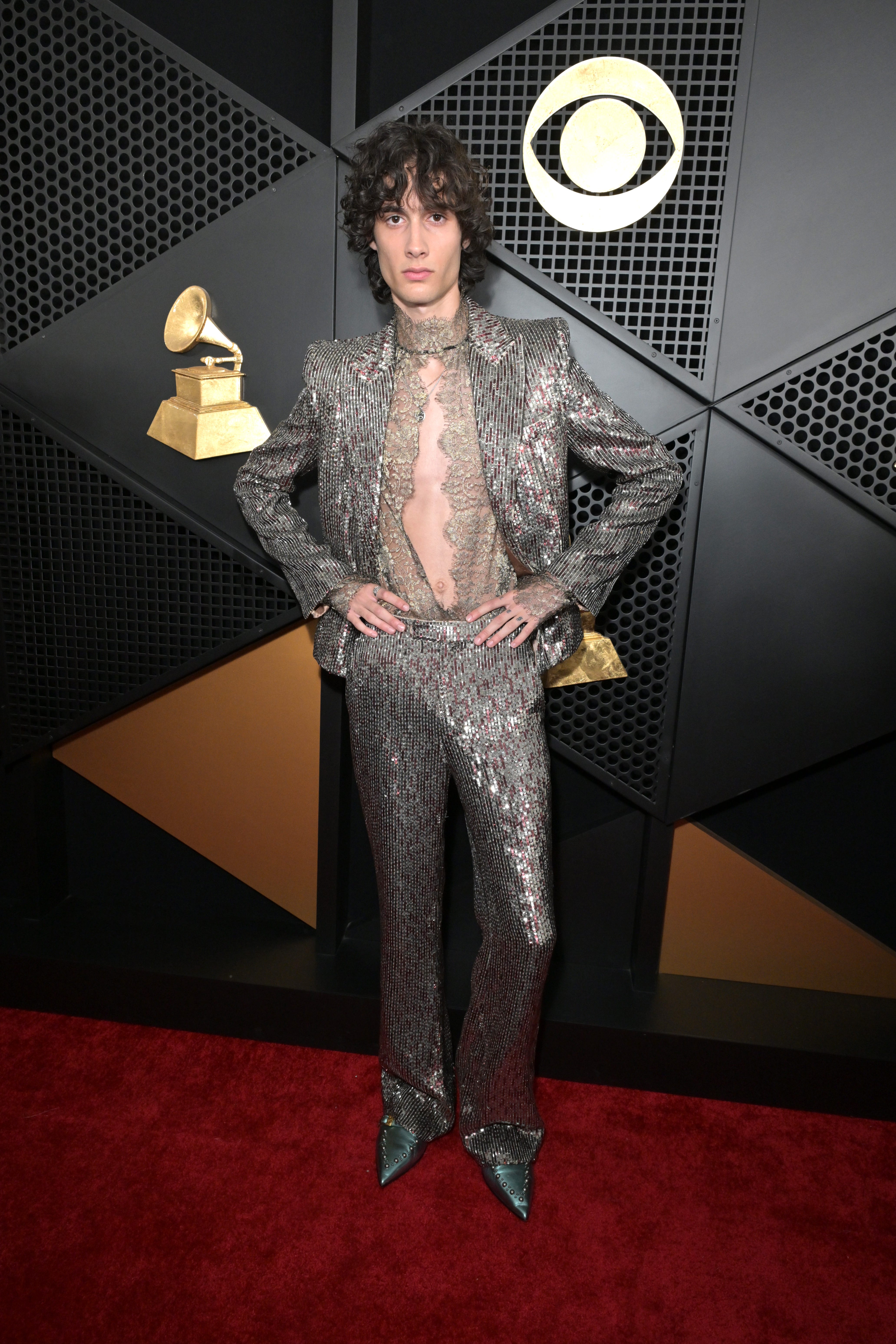 68th grammy awards red carpet