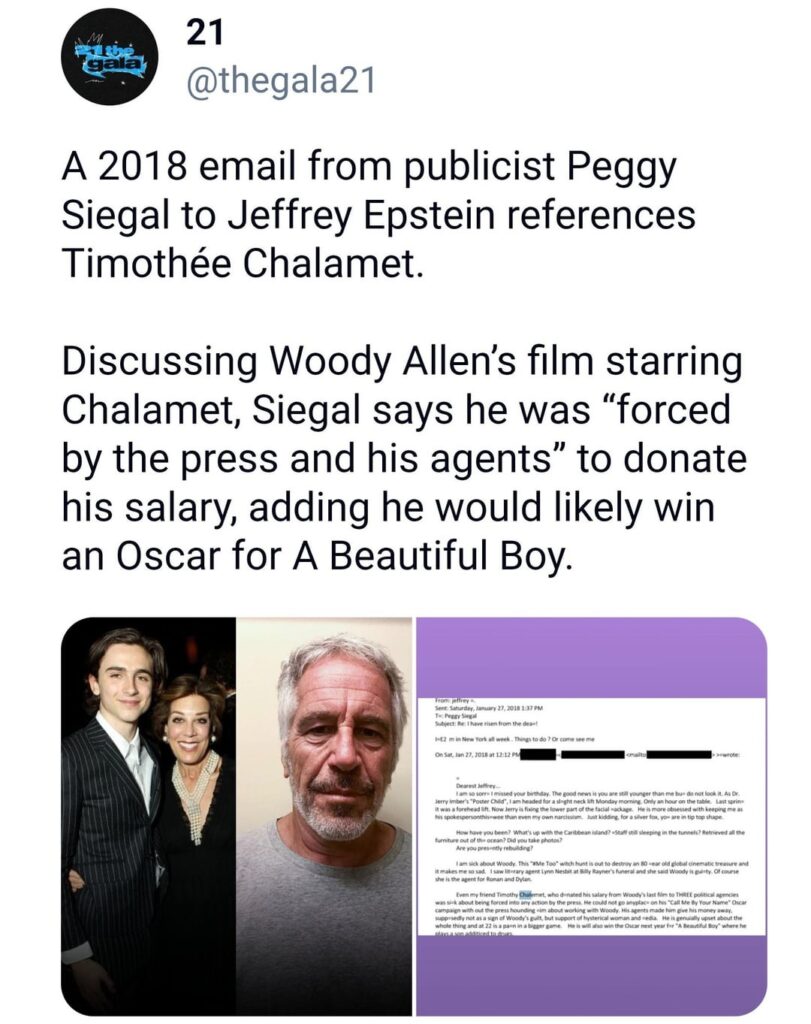 A 2018 email from publicist Peggy Siegal to Jeffrey Epstein references Timothée Chalamet. Discussing Woody Allen’s film starring Chalamet, Siegal says he was “forced by the press and his agents” to donate his salary.