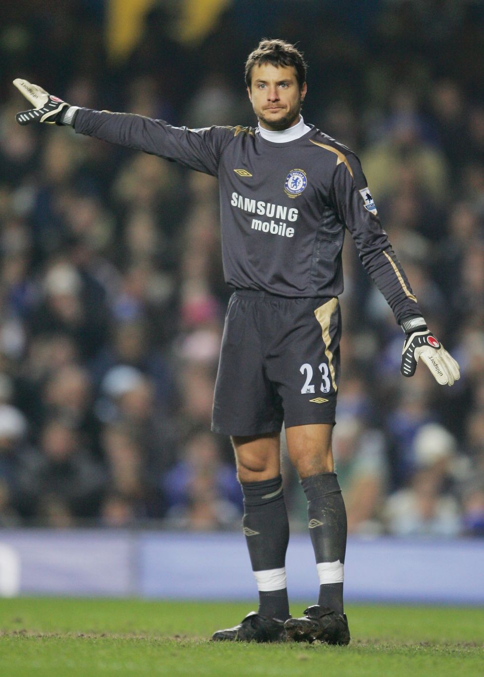 \u200bCarlo Cudicini