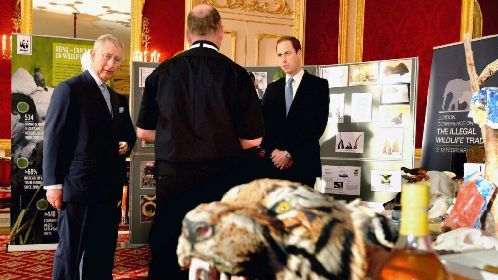 Prince William-backed charity accepted Epstein donation after his child sex conviction