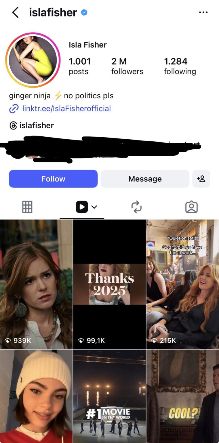 Isla Fisher’s ‘no politics pls’ Insta bio