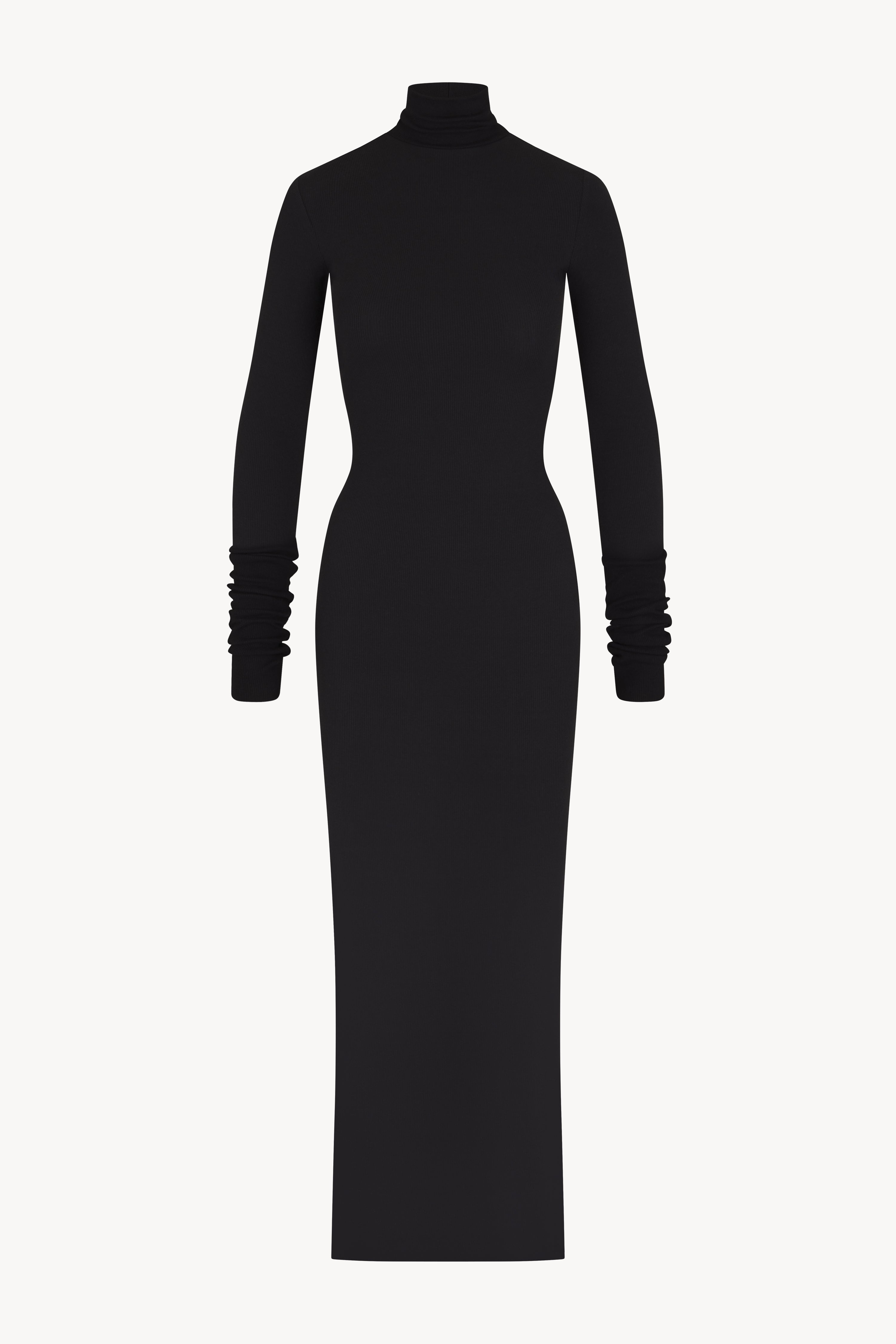 Long Sleeve Turtleneck Maxi Dress
