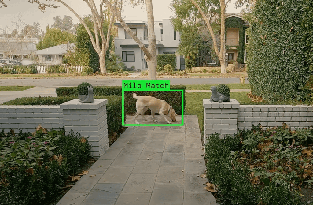 Leaked Email Suggests Ring Plans to Expand ‘Search Party’ Surveillance Beyond Dogs