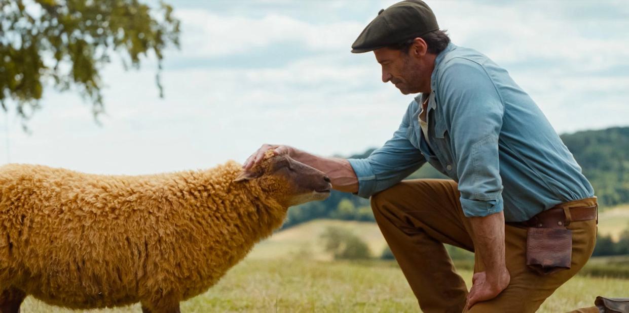 hugh jackman, the sheep detectives