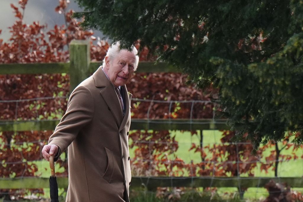 King Charles outside in camel coat