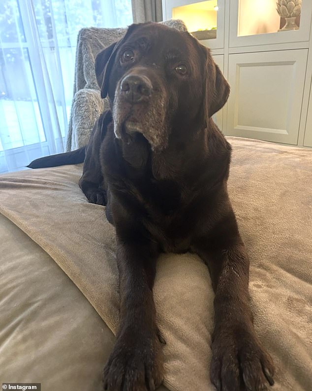 Sources revealed that Ant is 'very upset' by Hurley's passing, after he rushed to the vets, and he and ex Lisa agreed to have him put to sleep when they learned he was too ill to recover