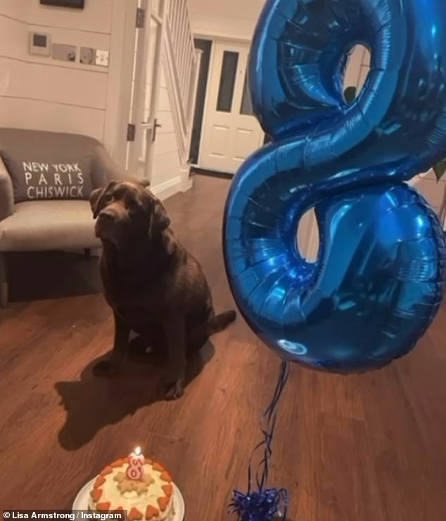 Hurley had made it to the ripe old age of 12 and a half before he was put to sleep. Here he was pictured on his eighth birthday with a balloon that was posted on Lisa's Instagram page