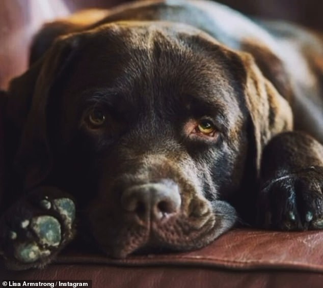 Following Hurley's death, Ant  jetted off to Portugal, while Lisa headed for Los Angeles, to grieve for their much loved dog