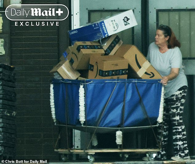 Johnson, 61, is pictured pushing a cart full of packages to her van at a USPS depot in inverness, Florida, earlier this week