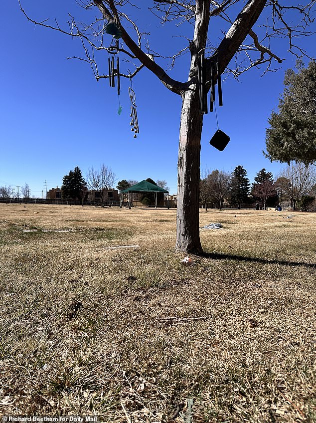 The plot remains undisturbed, with the same wind chimes hanging from a nearby tree above the patch of grass where they were laid to rest a year ago