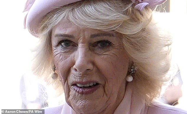 Her eyebrows looked considerably more solid during her appearance at the state banquet for the Nigerian president on Wednesday - thanks to her tattoo treatment