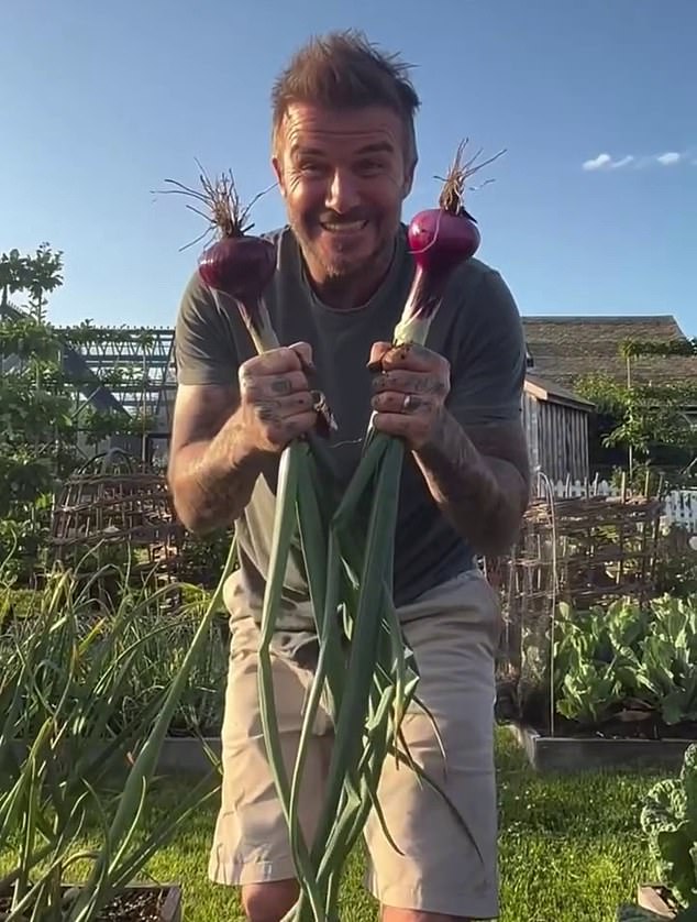 Sir David Beckham has become known for his green fingers ¿ so much so that he will host a garden at this year¿s prestigious Chelsea Flower Show