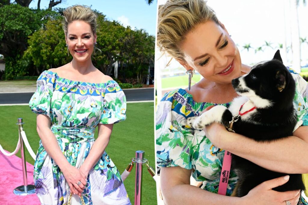 Katherine Heigl hits back at fans politicizing her attendance at Mar-a-lago rescue event Katherine Heigl hits back at fans politicizing her attendance at Mar-a-lago rescue event