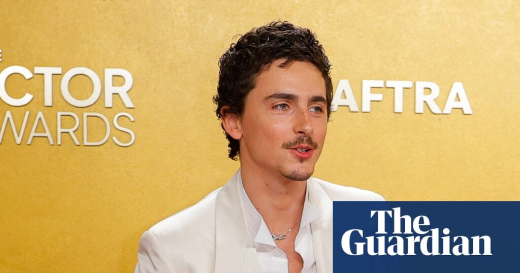 Et tutu, Timothée? Backlash mounts over Chalamet snipes at opera and ballet | Timothée Chalamet Et tutu, Timothée? Backlash mounts over Chalamet snipes at opera and ballet | Timothée Chalamet