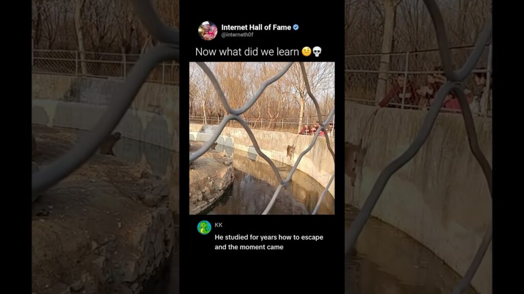 Now what did we learn🤨💀