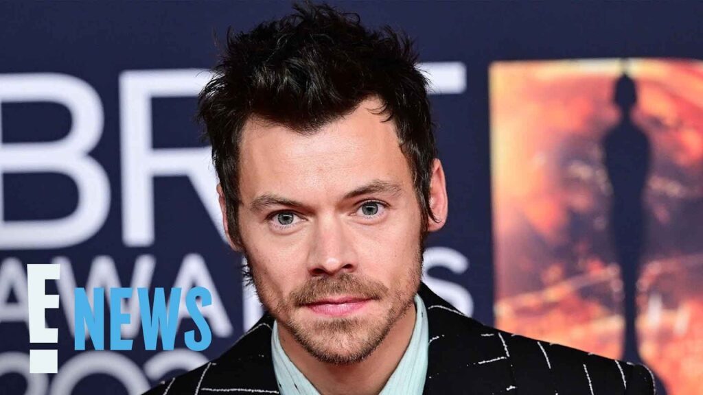 Harry Styles Makes First Red Carpet Appearance in 3 Years | E! News