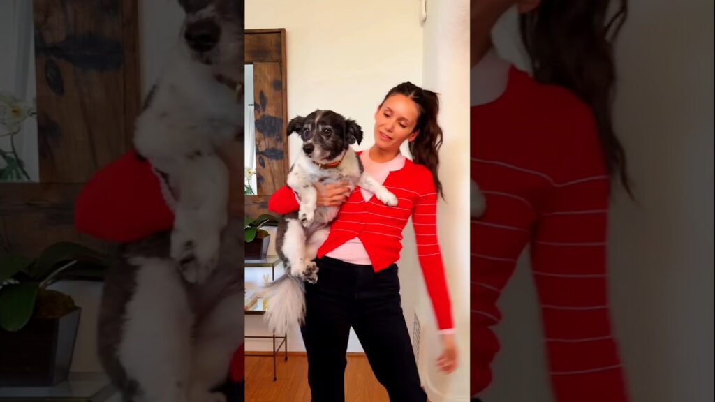 Nina Dobrev fun time with Ms Maverick 🐶 😂 #ninadobrev #shorts