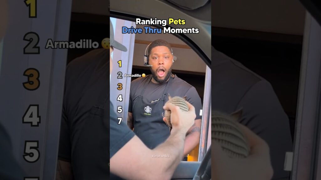 Ranking Pets Drive Thru Moments
