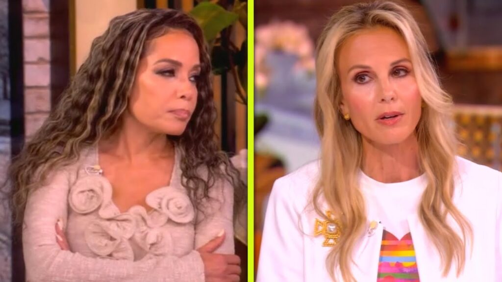 The View: Elisabeth Hasselbeck Jokes She Brought SECURITY After HEATED Debates