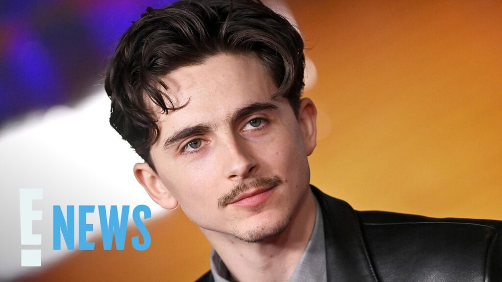 Metropolitan Opera Responds to Timothée Chalamet Saying “No One Cares” About Ballet or Opera
