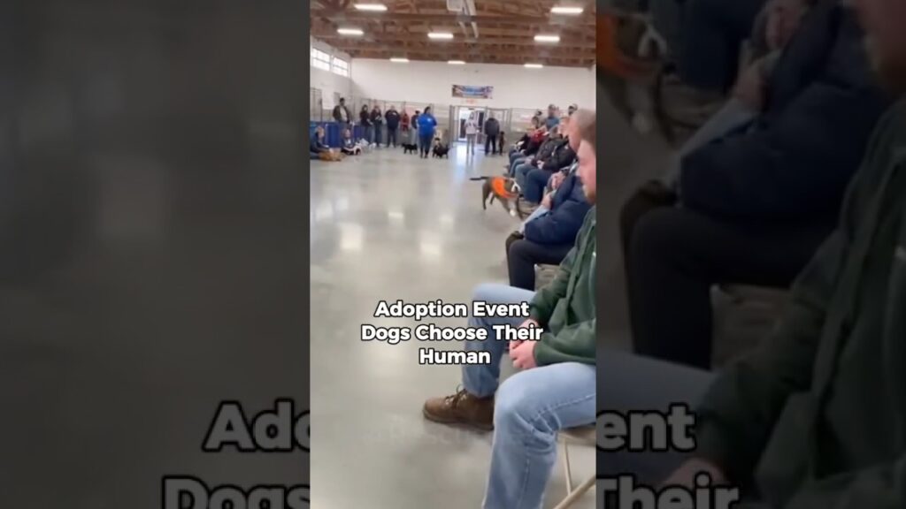 Adoption EventVoiceoverDogs Choose TheirHuman