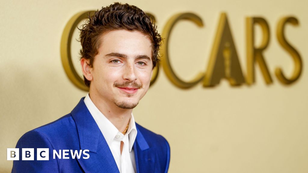 Has Hollywood golden boy Timothée Chalamet lost his shine? - BBC