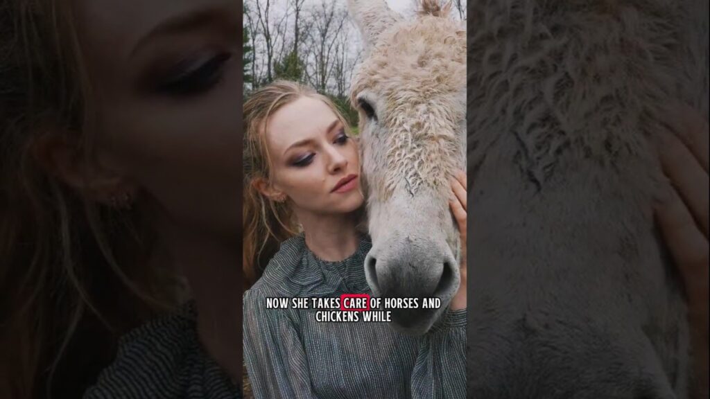 Amanda Seyfried Abandoned Hollywood Fame To Save Her Life Amanda Seyfried Abandoned Hollywood Fame To Save Her Life
