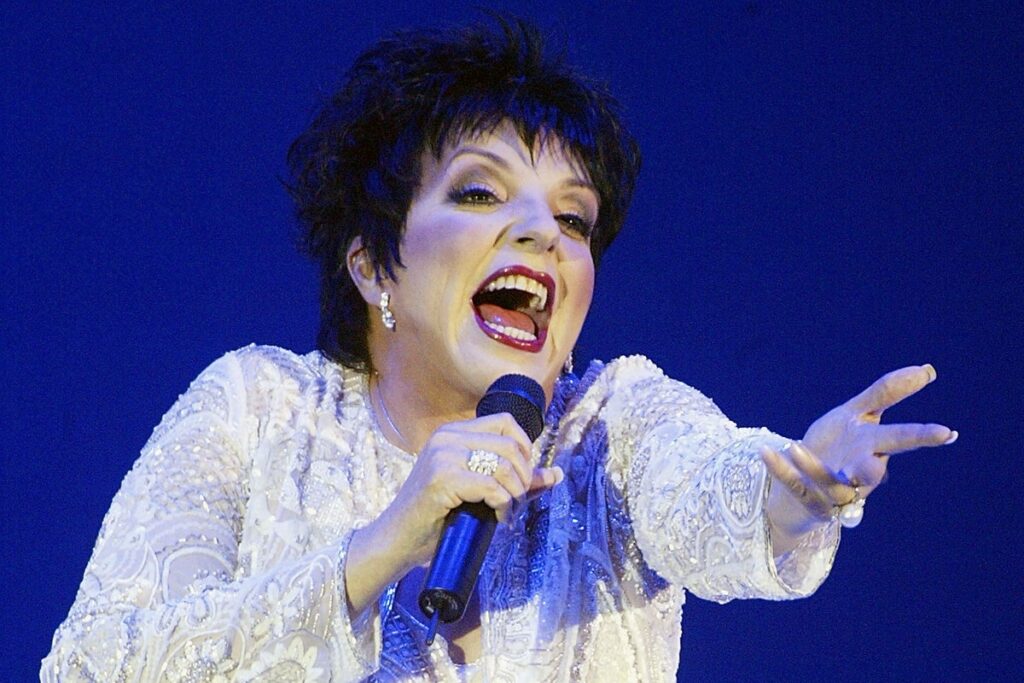 Liza Minnelli doesn’t want your sympathy – but maybe she deserves it