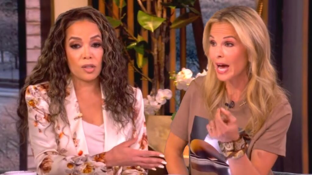 Elisabeth Hasselbeck Returns to The View and Gets Shamed for Supporting Donald Trump