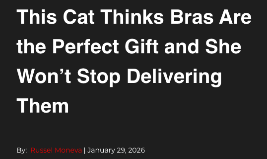 Eighteen celebrities who love cats; a cat that steals bras; cat with an emotional support potato; and lagniappe – Why Evolution Is True Eighteen celebrities who love cats; a cat that steals bras; cat with an emotional support potato; and lagniappe – Why Evolution Is True