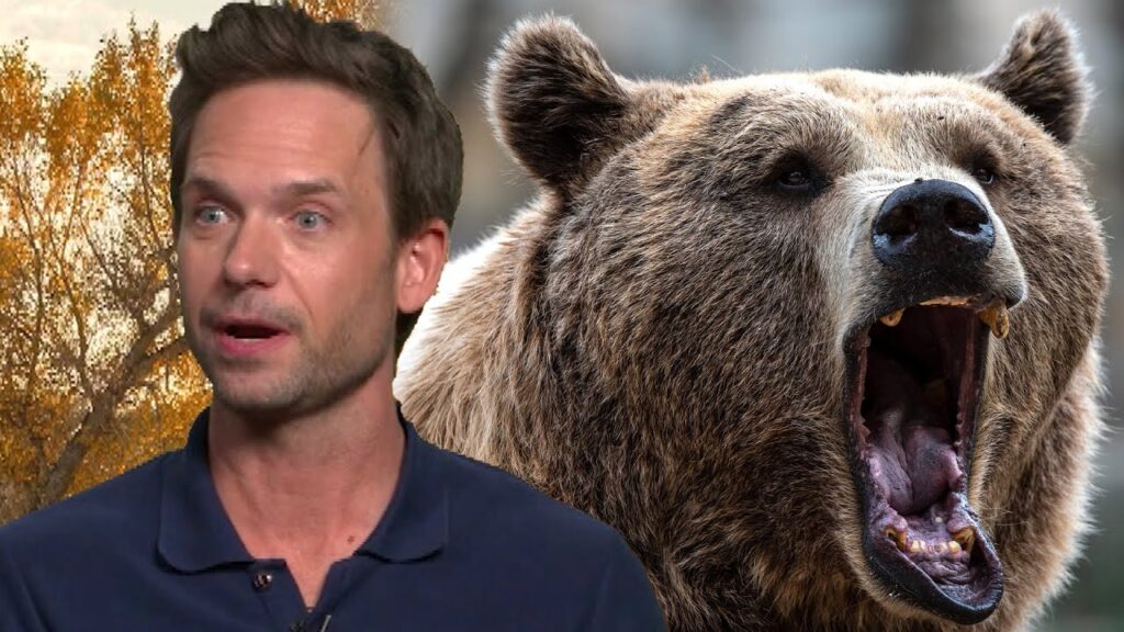 The Madison’s Patrick J. Adams Came Face-to-Face With a WILD BEAR During Filming (Exclusive) The Madison’s Patrick J. Adams Came Face-to-Face With a WILD BEAR During Filming (Exclusive)