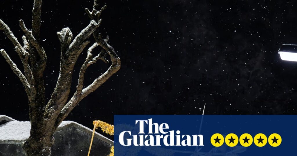 Siegfried review – invigorating and mesmerising staging, with Schager outstanding as Wagner’s hero | Opera