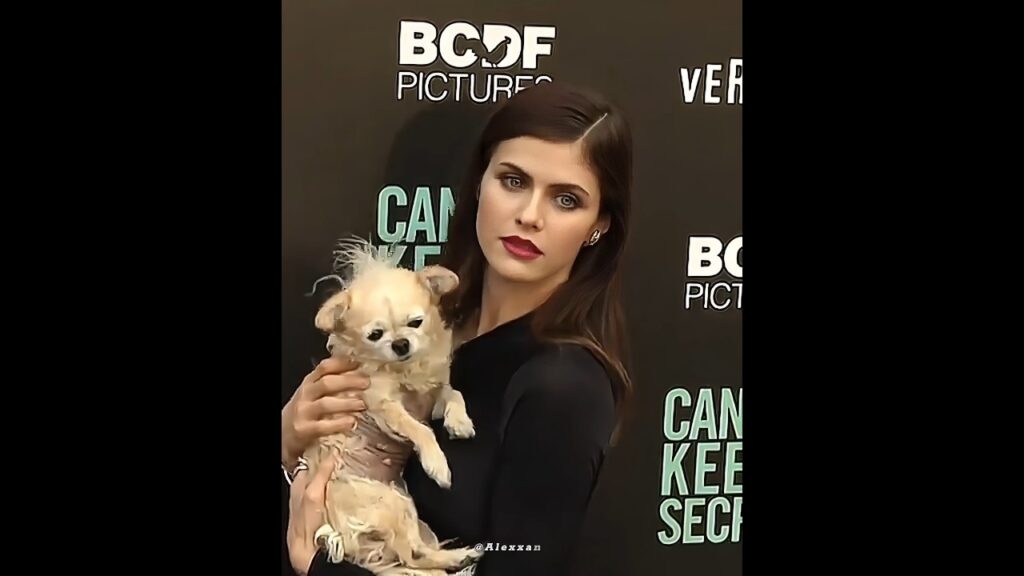 The most beautiful woman in the world🌎❤️#alexandradaddario #beauty #ytshorts