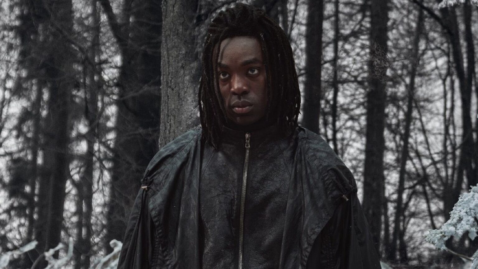 Harry Potter Remake Officially Confirms Another Snape Change With 1 Book Scene Cut From the Movie Snape in the Harry Potter TV Show