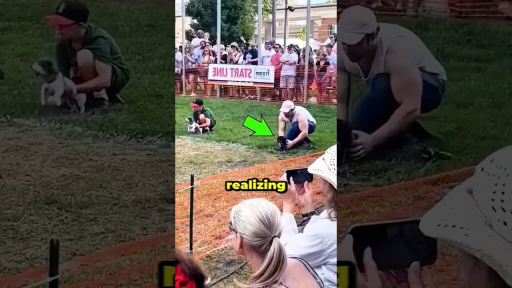 The Smartest Dog Wins! π± #shorts The Smartest Dog Wins! π± #shorts