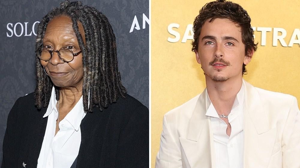 Timothée Chalamet Slammed as ‘Vapid’ and ‘Shallow’ on ‘The View’ After Dissing Opera and Ballet; Whoopi Goldberg Tells Him: ‘Be Careful, Boy… He Is a Boy to Me’