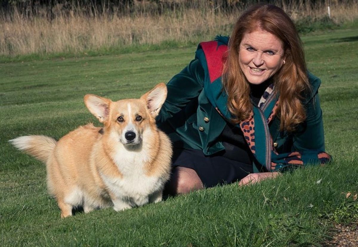 Ferguson took the late Queen's corgis into her care after the monarch's death