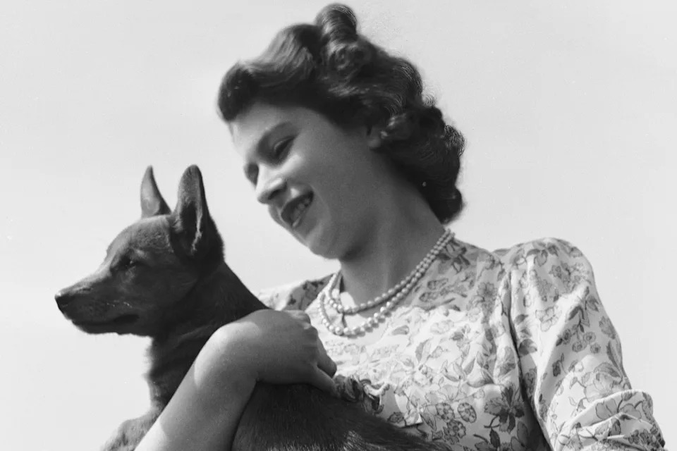 Princess Elizabeth with her first pet corgi, Sue or Susan, at Windsor Castle, UK, May 30, 1944.  / Lisa Sheridan / Getty Images