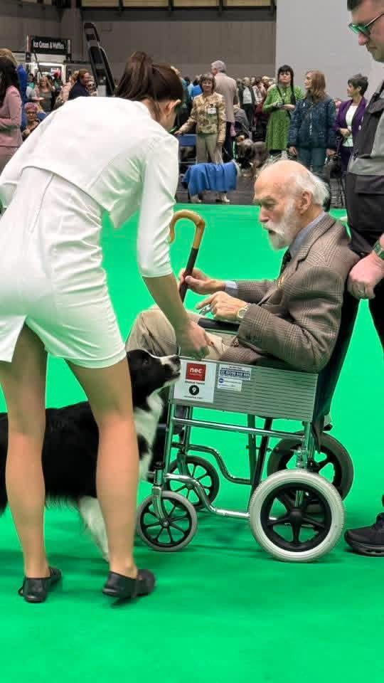 Prince Michael of Kent, President, The Kennel Club, attends The Border Collie Challenge in Crufts today