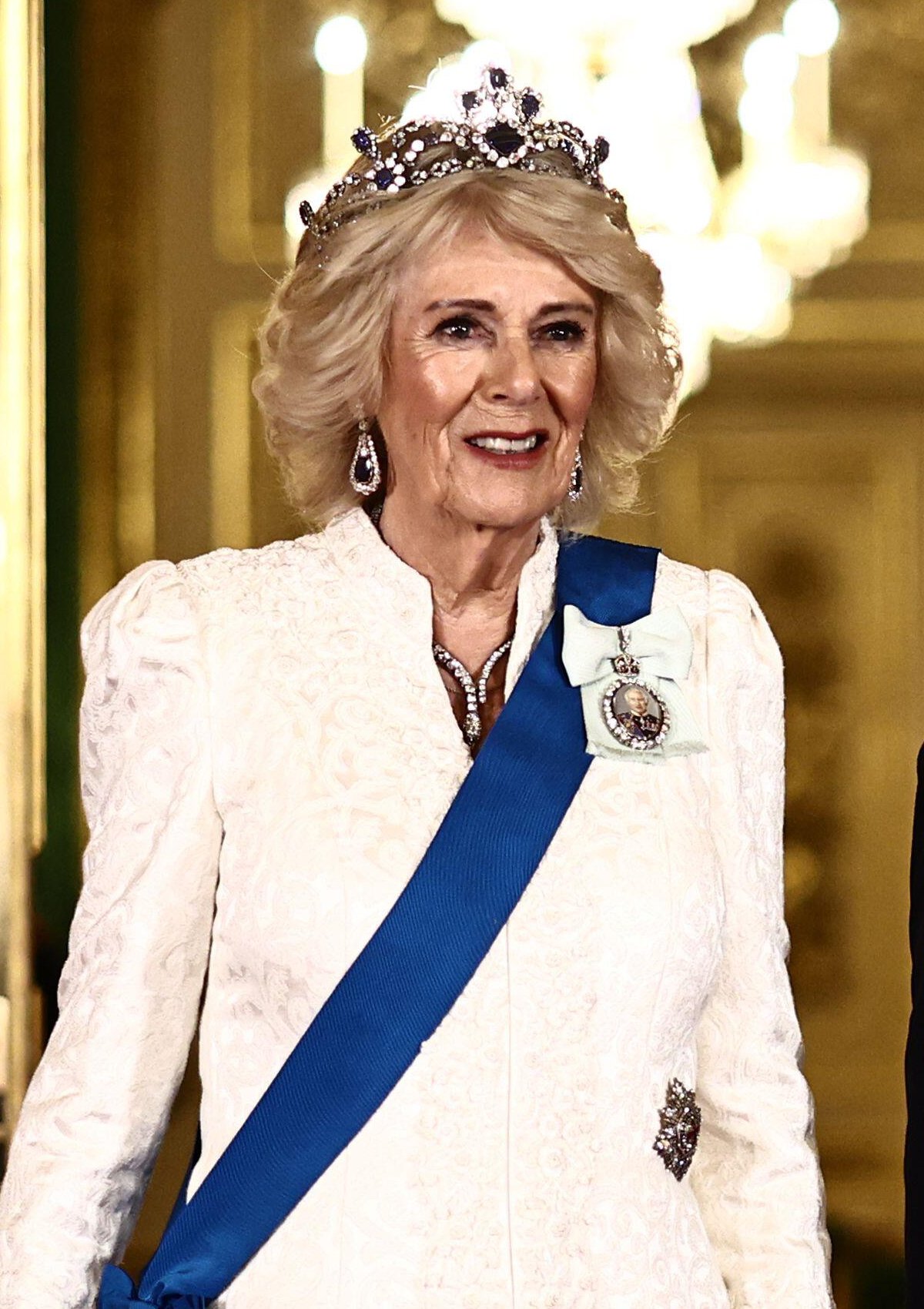 Queen Camilla is pictured ahead of a state banquet in honor of the President of Nigeria at Windsor Castle on March 18, 2026 (Henry Nicholls/PA Images/Alamy)