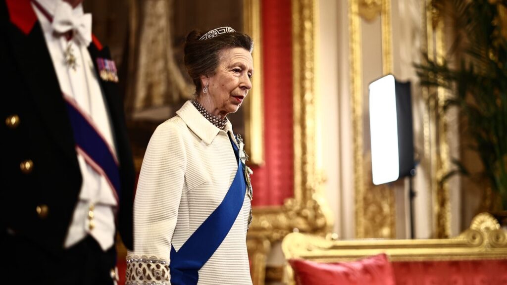 Princess Anne sparkles in a favourite diamond tiara inherited from Prince Philip's family at the Nigerian state banquet