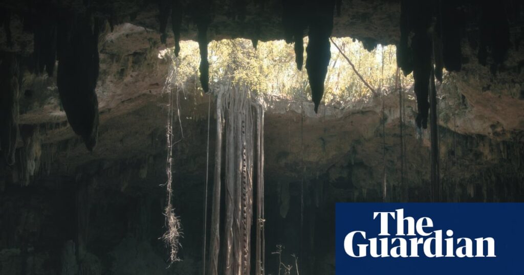 ‘Fear is good’: my scary subterranean journey into Underland, the film of Robert Macfarlane’s dazzling book | Film