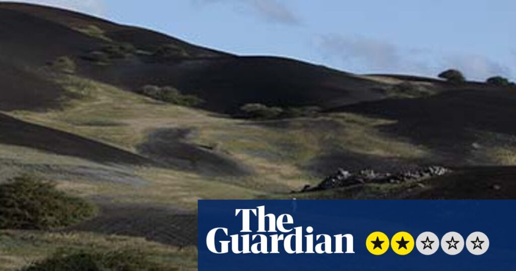 Terraforma review – unhurried portrait of Ascension Island’s human-made nature | Film Terraforma review – unhurried portrait of Ascension Island’s human-made nature | Film