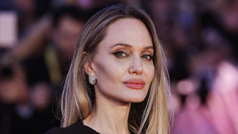 The ex-model helped produce an ad campaign featuring Hollywood A-lister Angelina Jolie.MEGA