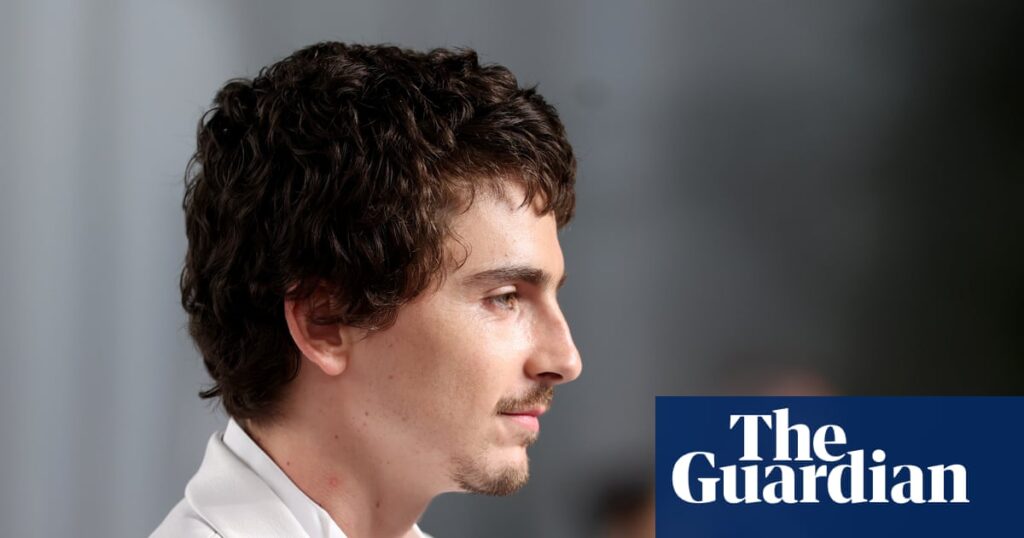 No, Timothée Chalamet, opera isn’t ‘dead’ – it’s been alive for centuries | Opera